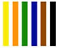 Judo Belts